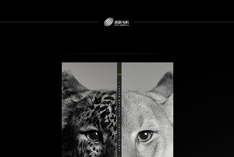 皮膚?？坪笤O計